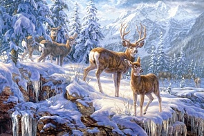 Пазл Зимние горы, 1000 элементов (Castorland, C1000-102501)